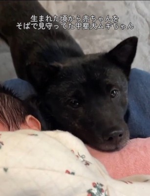 ツムギちゃんと娘さん2