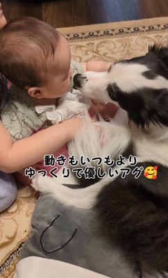 アグちゃんの赤ちゃんへの接し方4