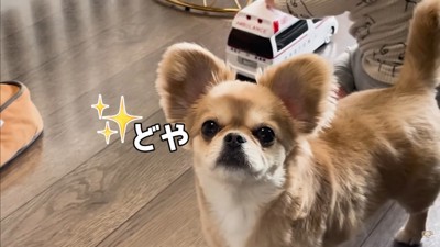 赤ちゃんから離れないハナちゃん9