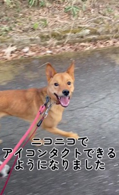 ニコニコのアイコンタクトも♡