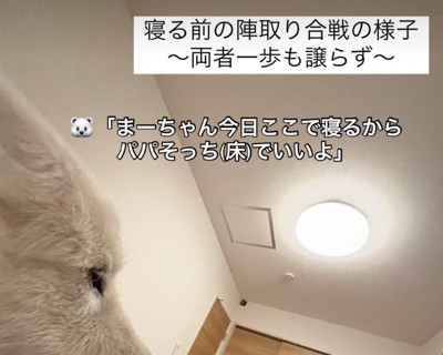 ベッドで寝ようとする犬