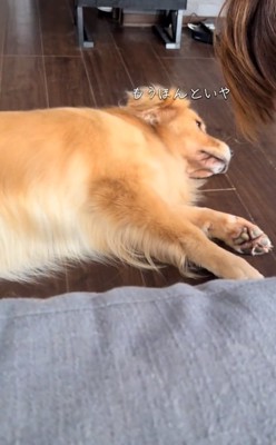 嫌がるイヴちゃん