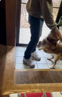 喜ぶごんちゃん