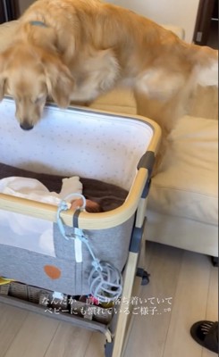 どこまでも気になる