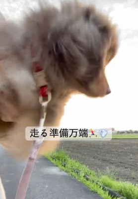 「今日は降ろしてもらえるかな?」