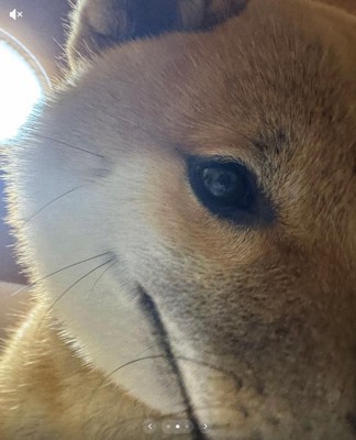 ニヒルなうみくん