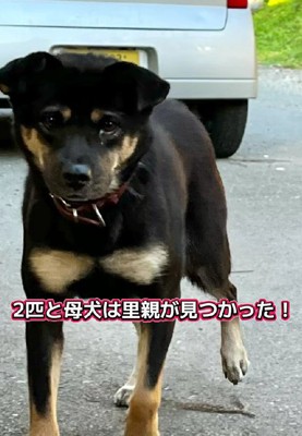 それぞれの旅立ち…