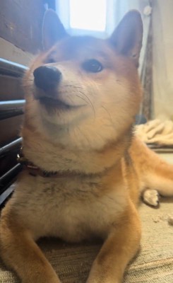 イタズラ中のぬん君7