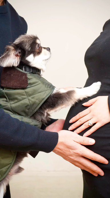 男性に抱っこされて女性のお腹に前足を当てる犬