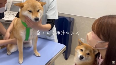 緊張でガチガチに…