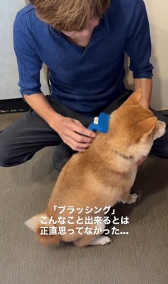 ぽんた君の変化7