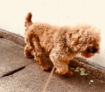 3年前のイオくん2