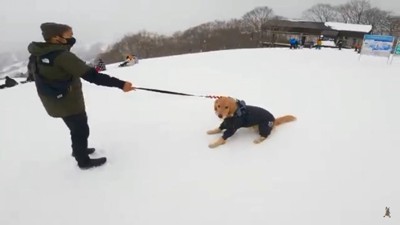 ゴンドラを拒否するジョイくん