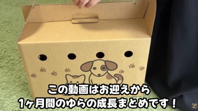 そっと蓋を開けると…