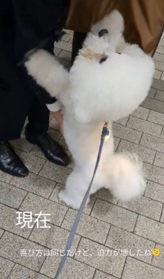 1年後のふう太くん