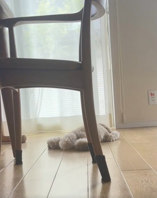 最後に尻尾がぺたん