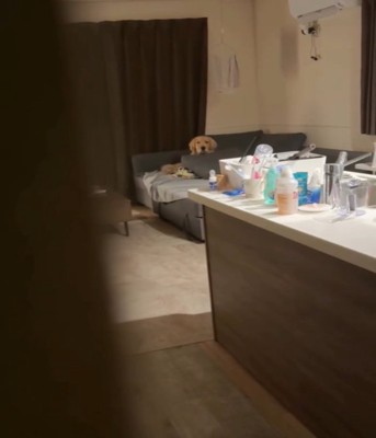 ソファに座る犬2