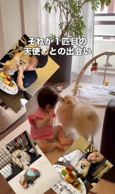 お誕生日もみんなでお祝い