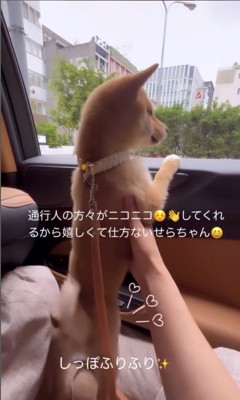 ドライブ中のせらちゃん3