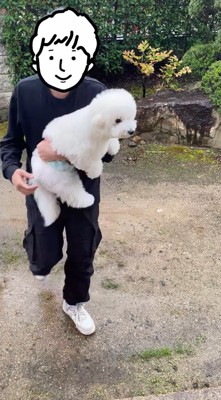 飼い主に抱き抱えられる犬
