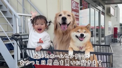 カートに乗ってお買い物