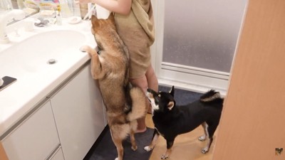スキンケア中もそばで待機