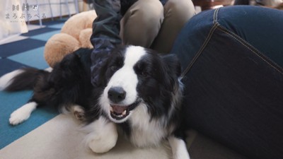 「ゲームはしないで、僕だけを見てて♡」