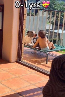 見つめ合うふたり