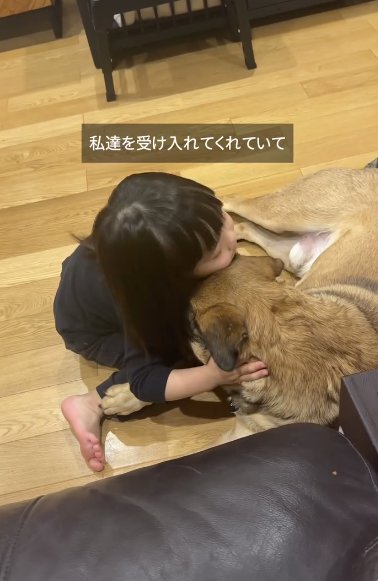 大型犬と顔をくっつけて遊ぶ幼い女の子