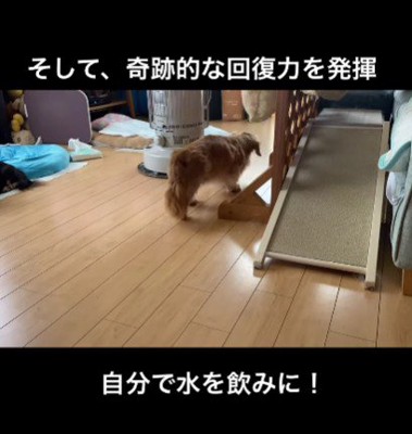 水も飲みに行けるよ