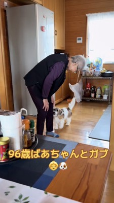 おばあちゃんに近づいて行く犬