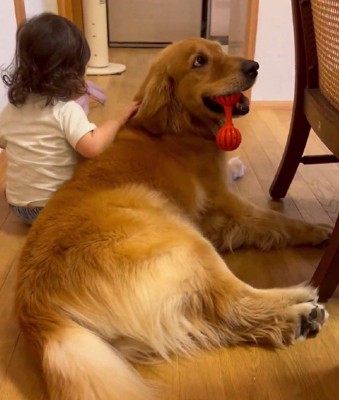 これならなでやすい♡