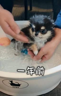 体にお湯をかける