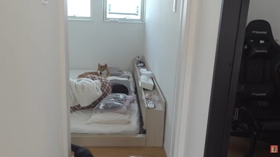 ママのそばを離れないはちくん