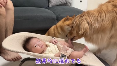 「泣かないで」