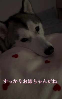 素敵なお姉ちゃんだね!