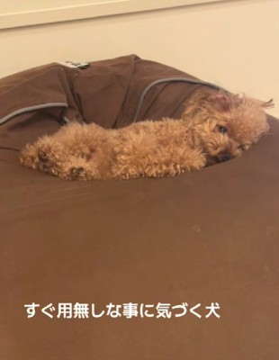 「なんもないのね」