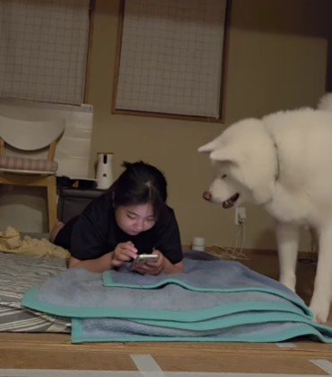 視線で訴えるも…