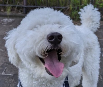 「こなちゃん」