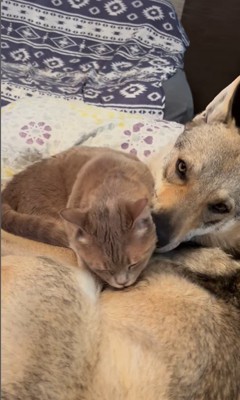 ワゾウスキくん&マイキーくん2