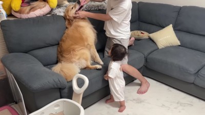 おからちゃんも頑張ります