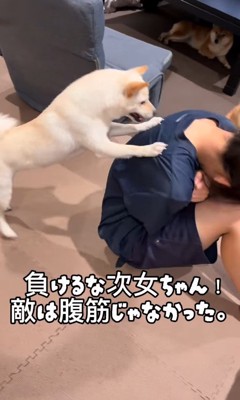 「ねえ、何してるの？遊ぼうよ！」