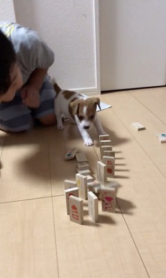 ちゃんと倒れた！