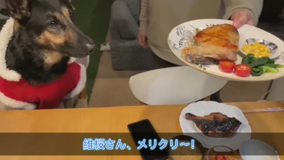 メインは骨付き肉！