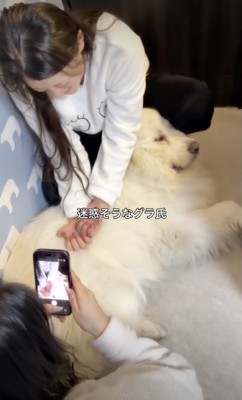 迷惑そうな表情。