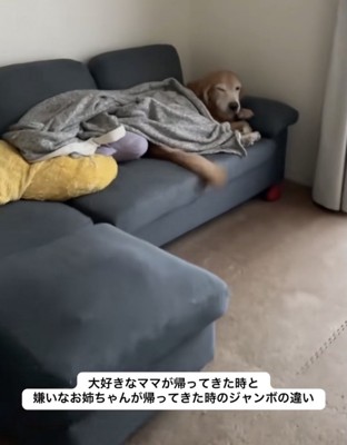 ママが帰って来た!