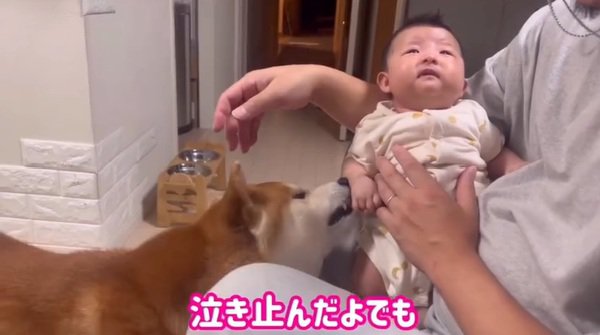 泣き止んだひよりちゃん