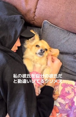 添い寝されるワンコ