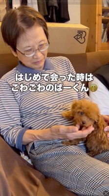 女性に撫でられる犬