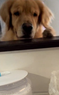 ジャンプしたイヴちゃん